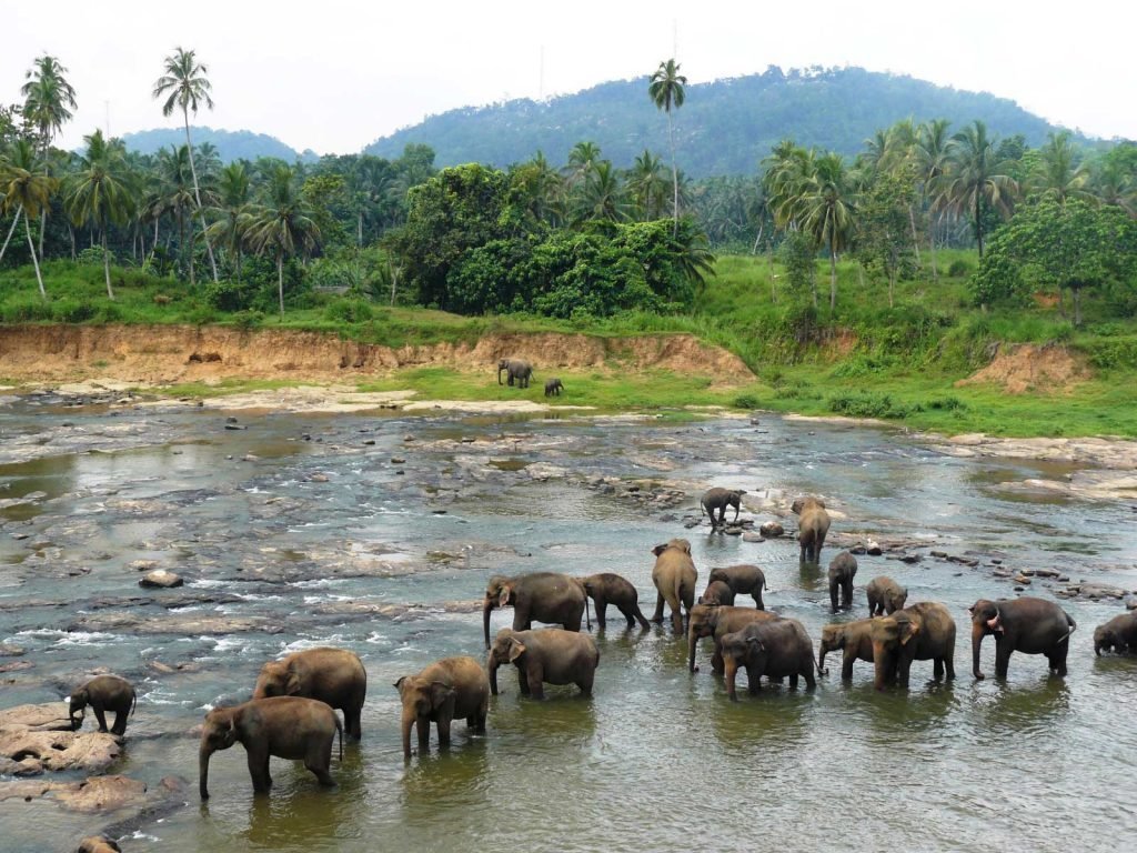 Hoogtepunten | Rama Tours