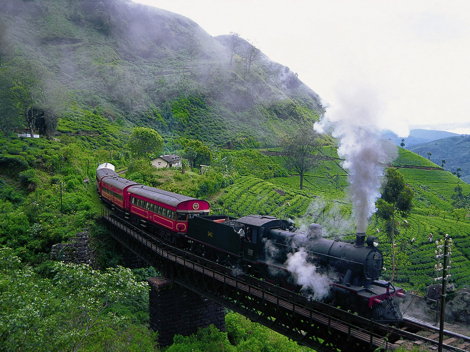 rondreis sri lanka nuwara eliya 7