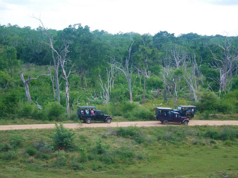 Hoogtepunten | Rama Tours
