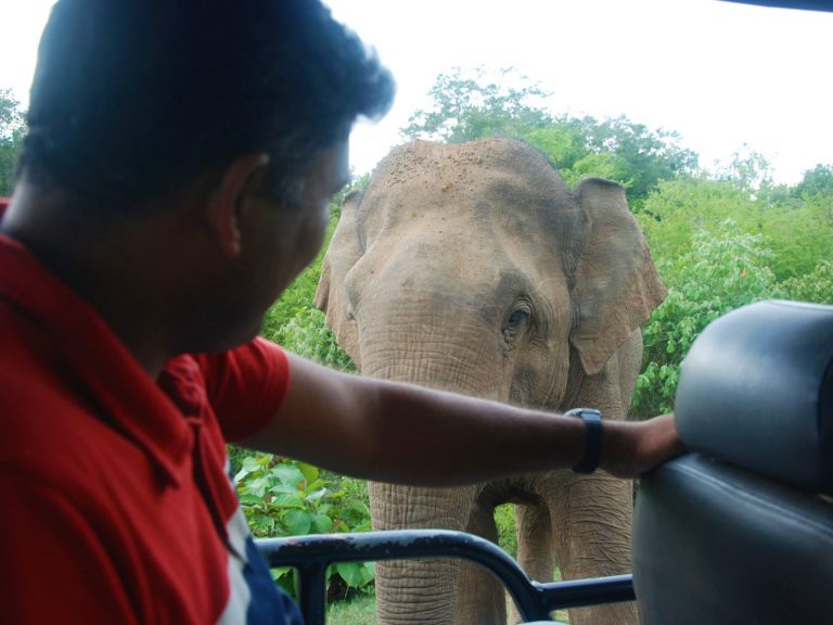 Hoogtepunten | Rama Tours