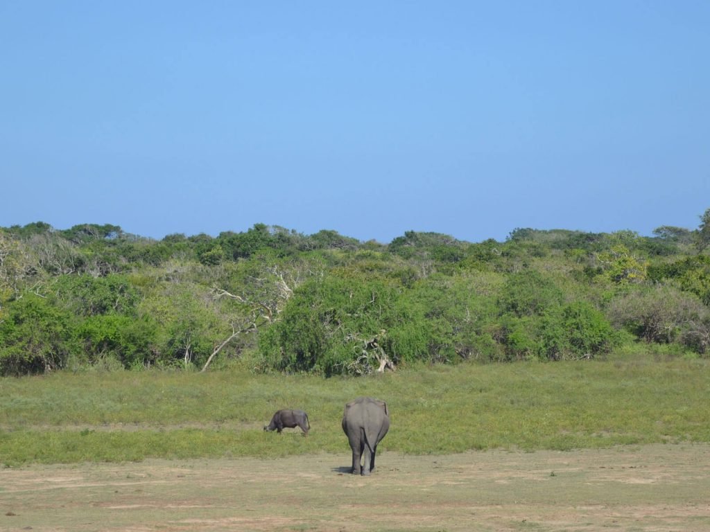 Hoogtepunten | Rama Tours