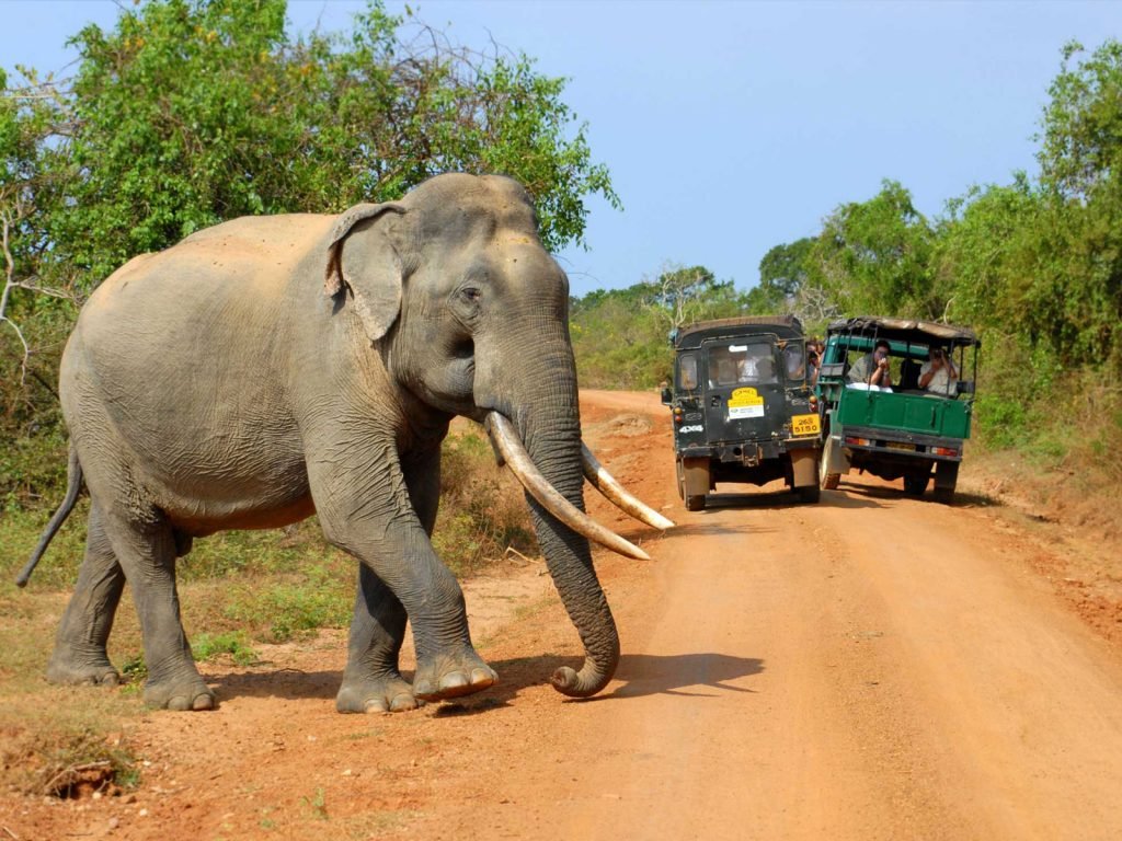 rondreis sri lanka yala hoogtepunt tissa national park 4