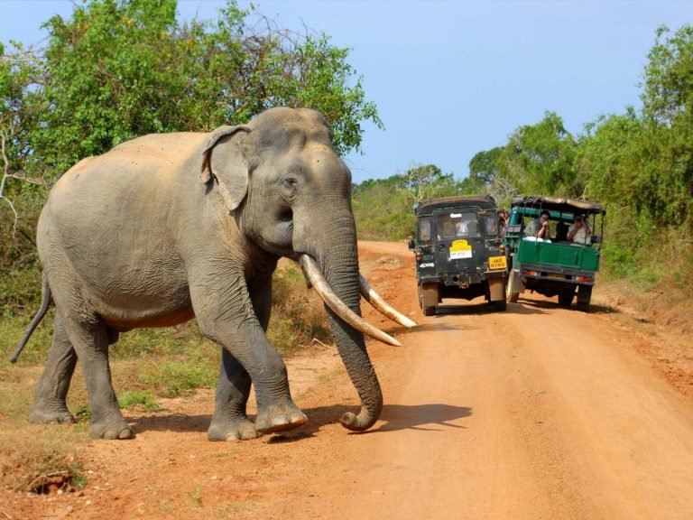Hoogtepunten | Rama Tours