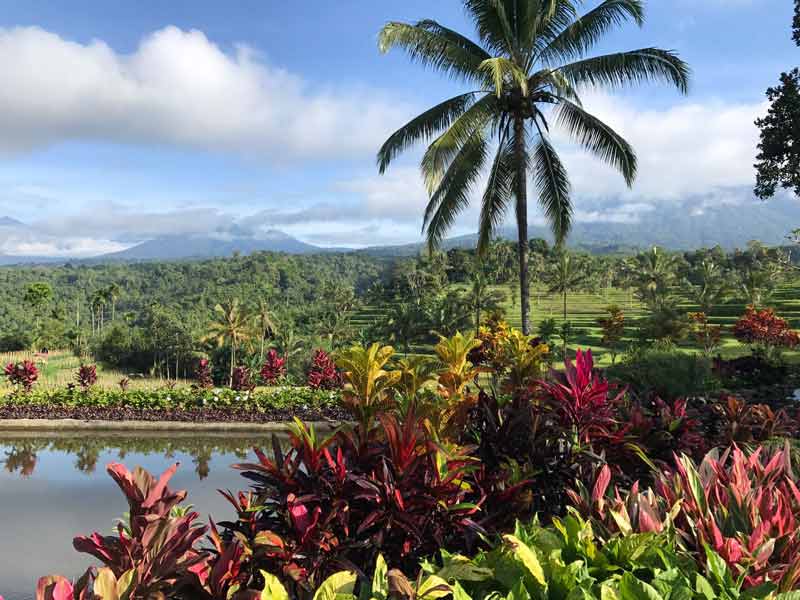 RONDREIS-Java-Ijen-resort-13