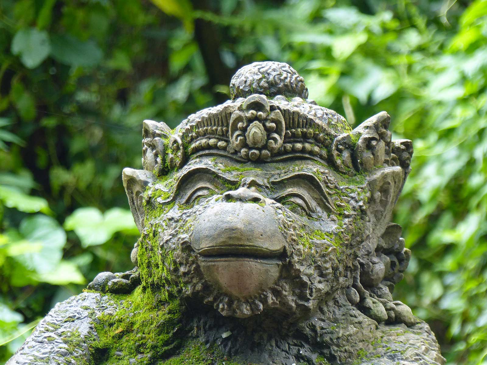 Rondreis Bali Ubud 5