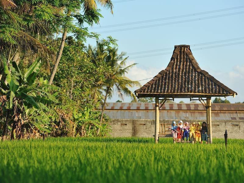 Rondreis Java Yogyakarta 1