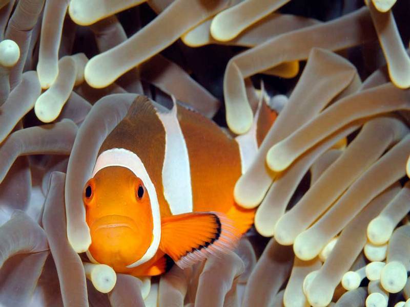 Rondreis Lombok Gili eilanden zuidwest 1