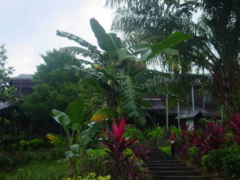 Hotels | Rama Tours