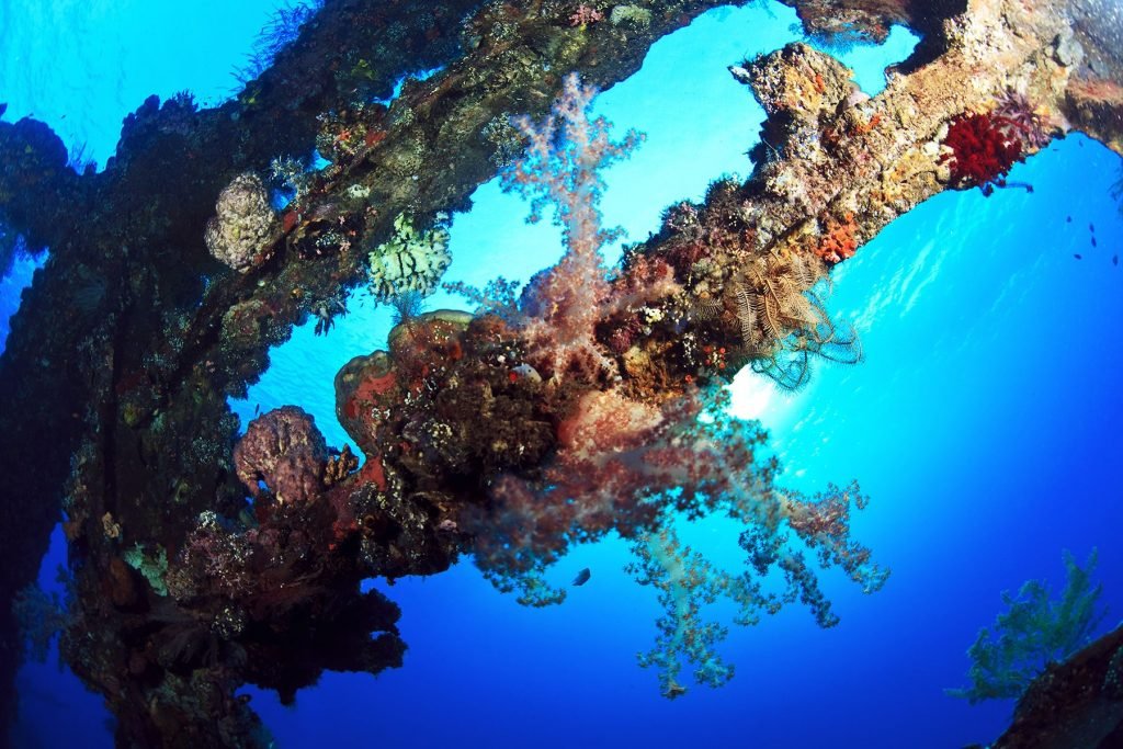 rondreis bali amed en tulamben hoogtepunt 4
