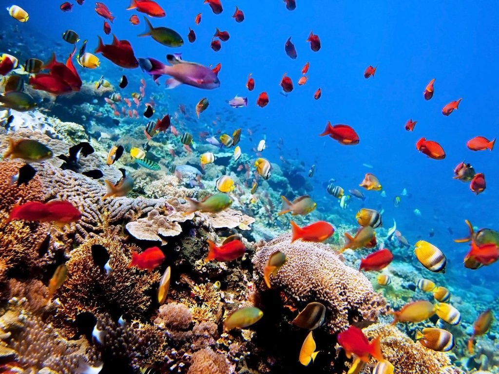 rondreis bali amed en tulamben hoogtepunt 5