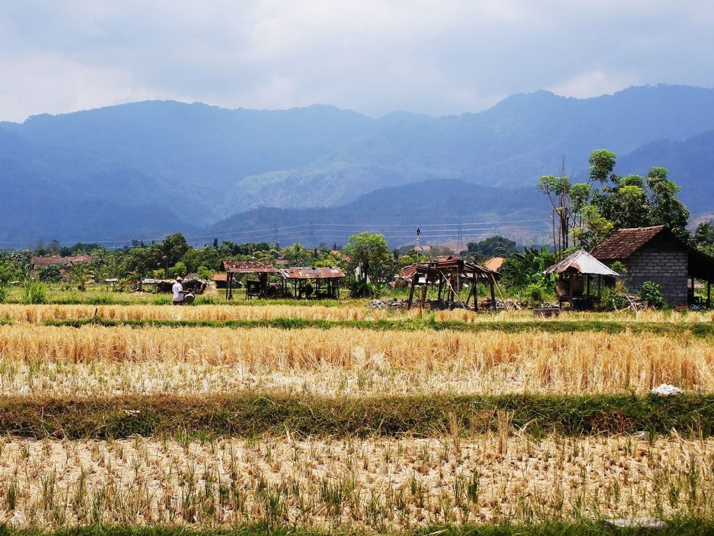Hoogtepunten | Rama Tours
