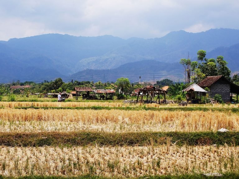 Hoogtepunten | Rama Tours