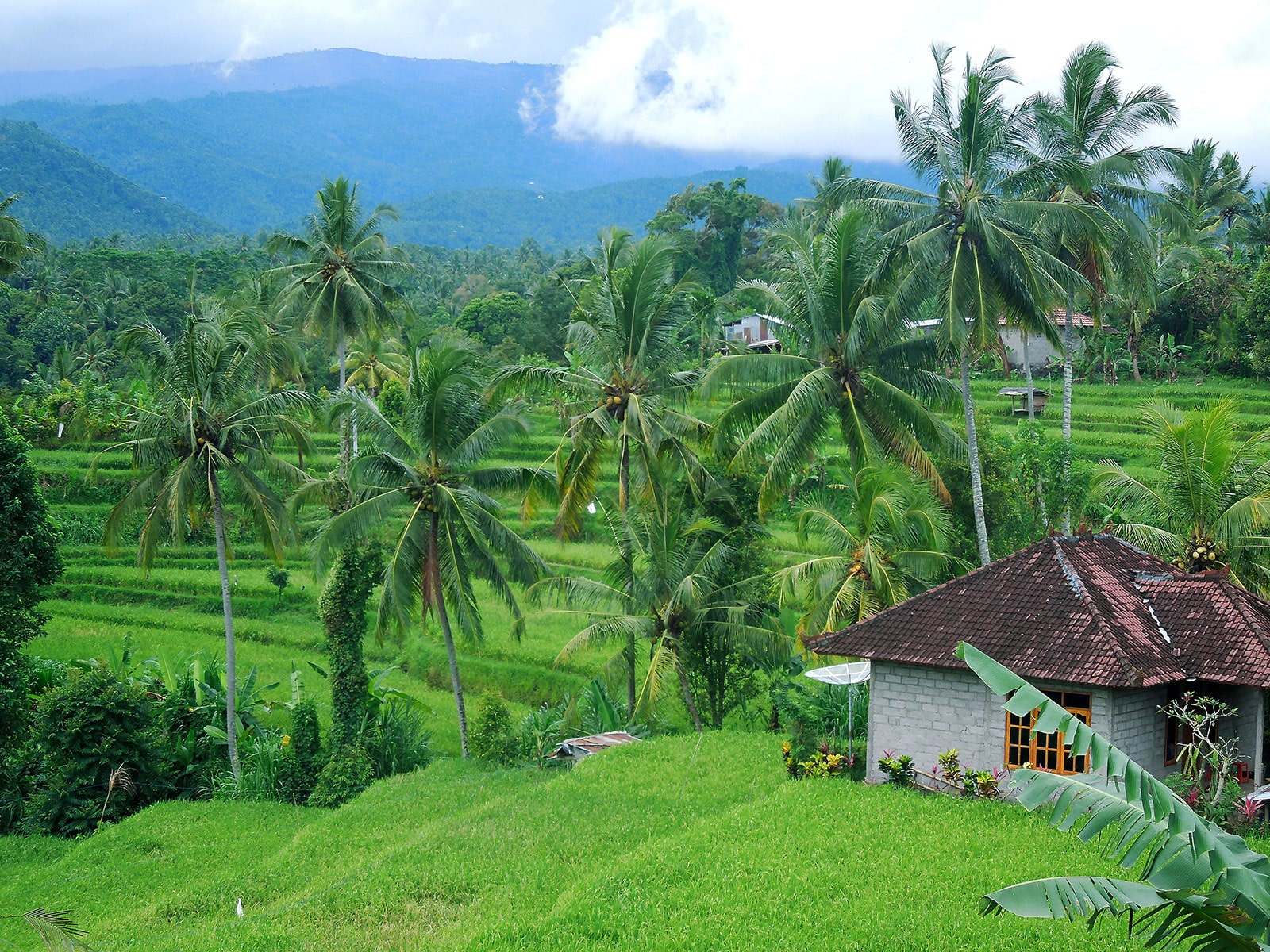 rondreis bali munduk hoogtepunt 24