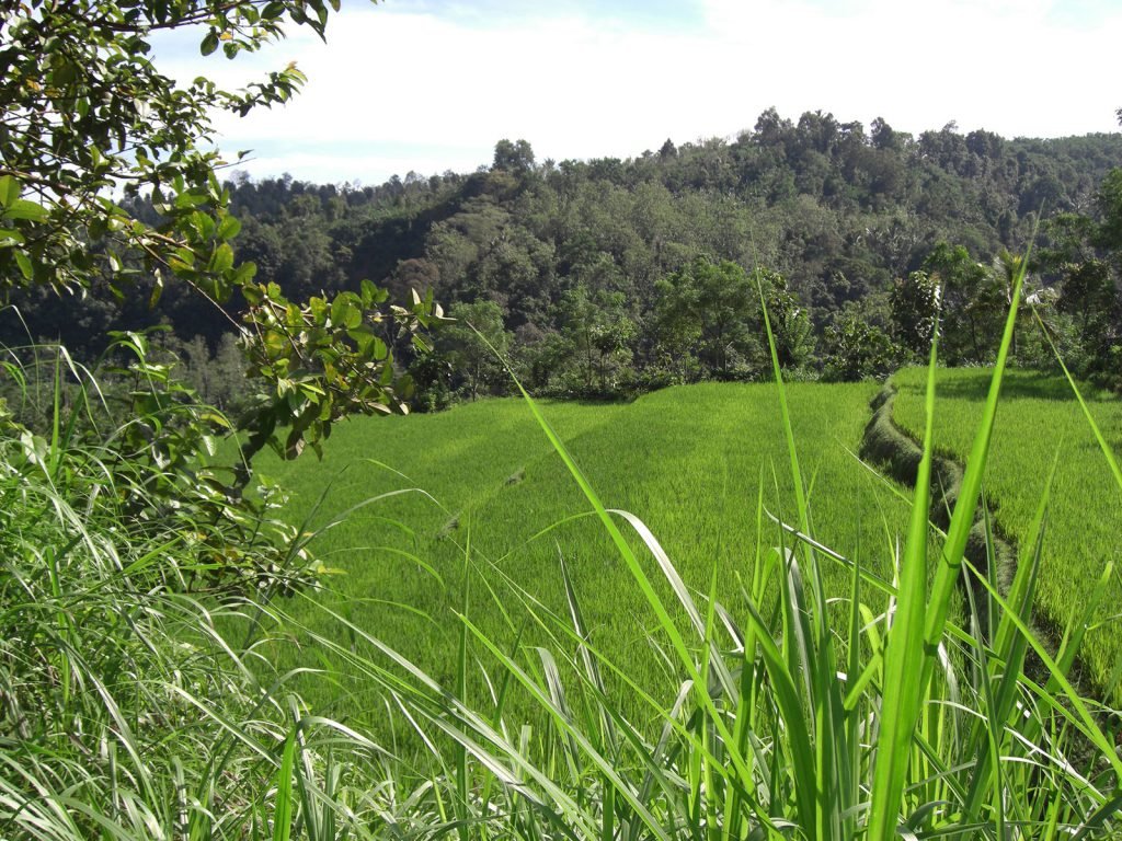 Hoogtepunten | Rama Tours