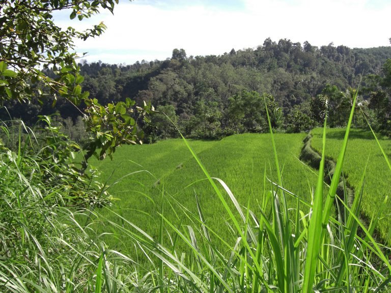 Hoogtepunten | Rama Tours