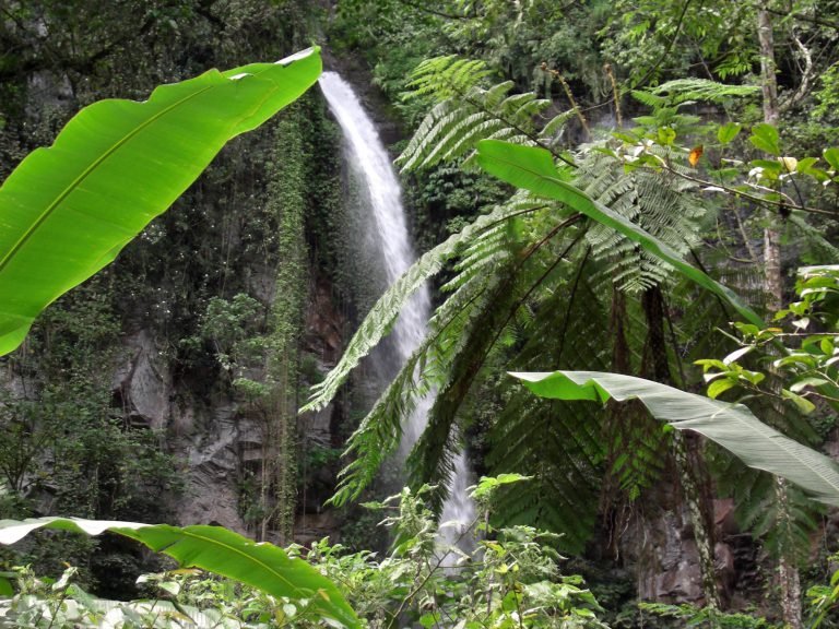 Hoogtepunten | Rama Tours