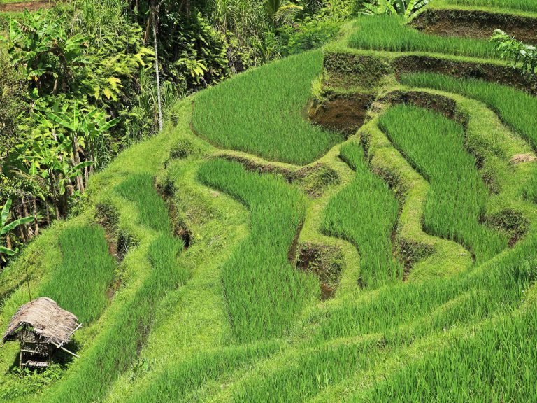 Hoogtepunten | Rama Tours