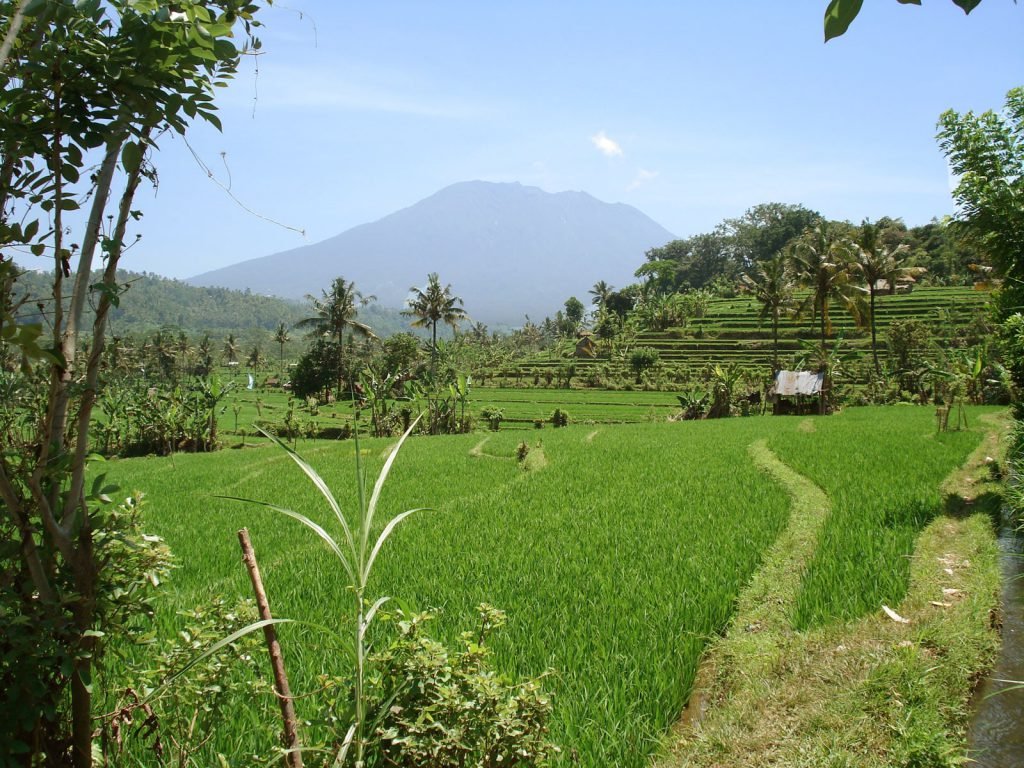 Sidemen (Bali) | Rama Tours