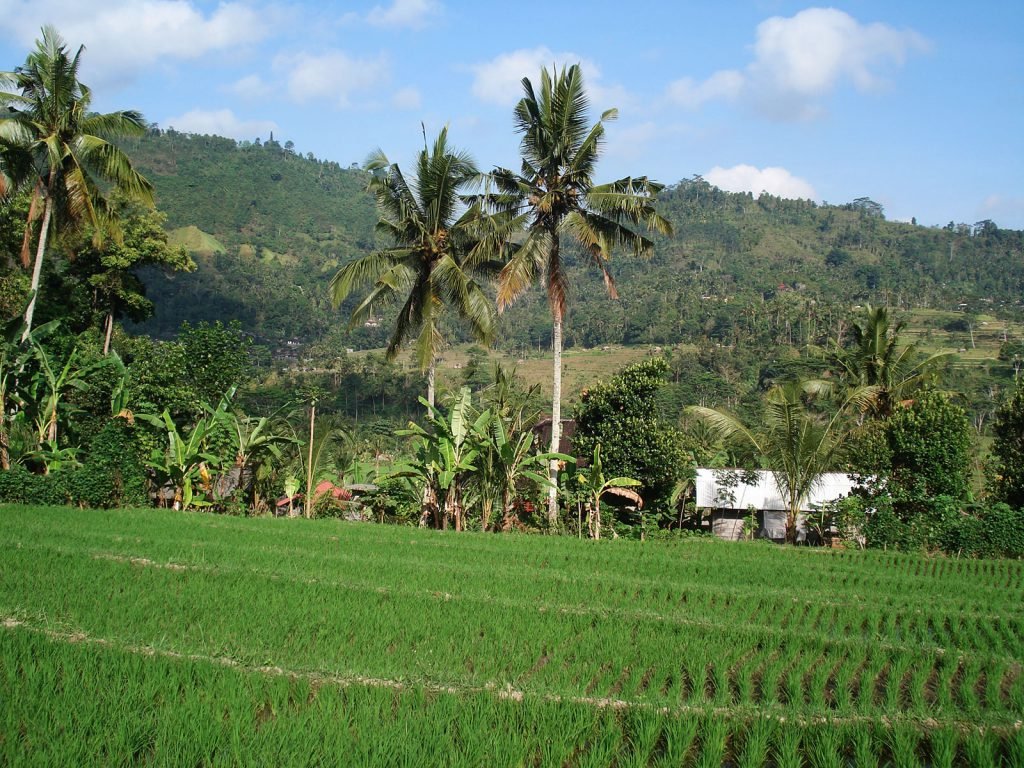 Hoogtepunten | Rama Tours