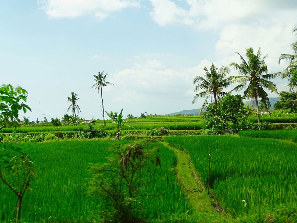 Hoogtepunten | Rama Tours