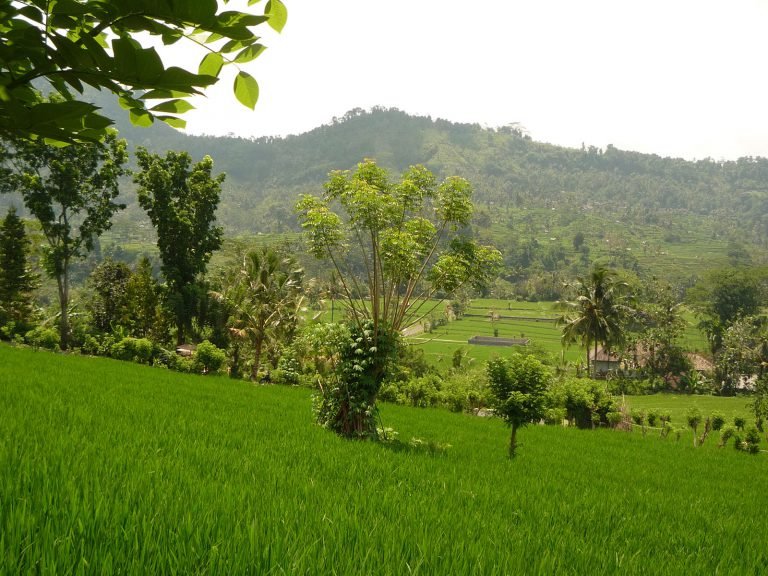Hoogtepunten | Rama Tours
