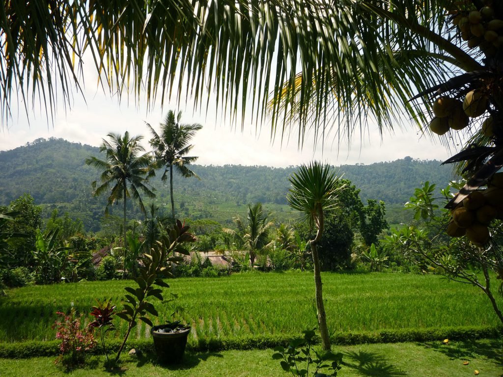 Hoogtepunten | Rama Tours
