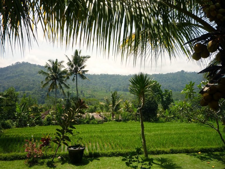 Hoogtepunten | Rama Tours