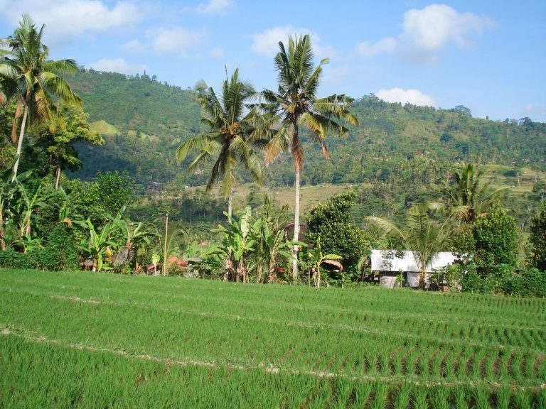 Hoogtepunten | Rama Tours