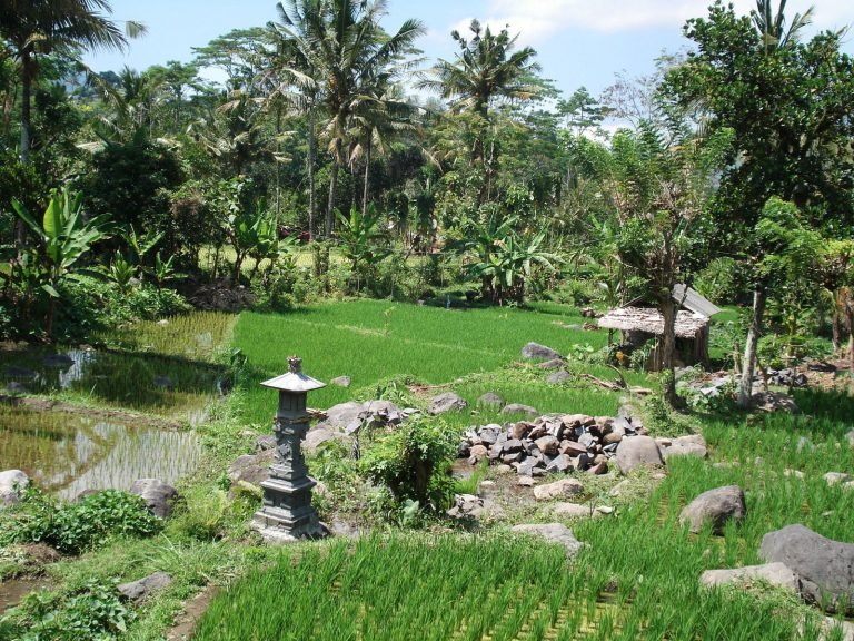 Hoogtepunten | Rama Tours