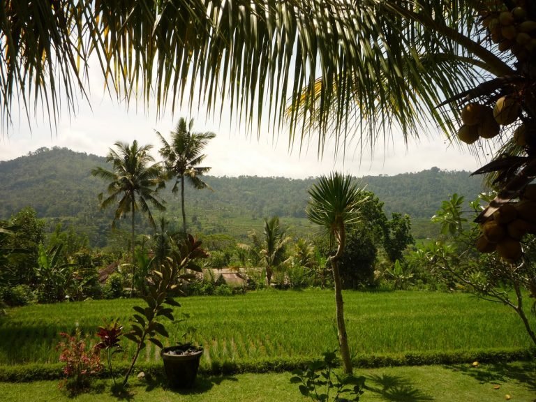 Hotels | Rama Tours