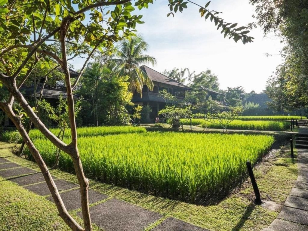 Hotels | Rama Tours
