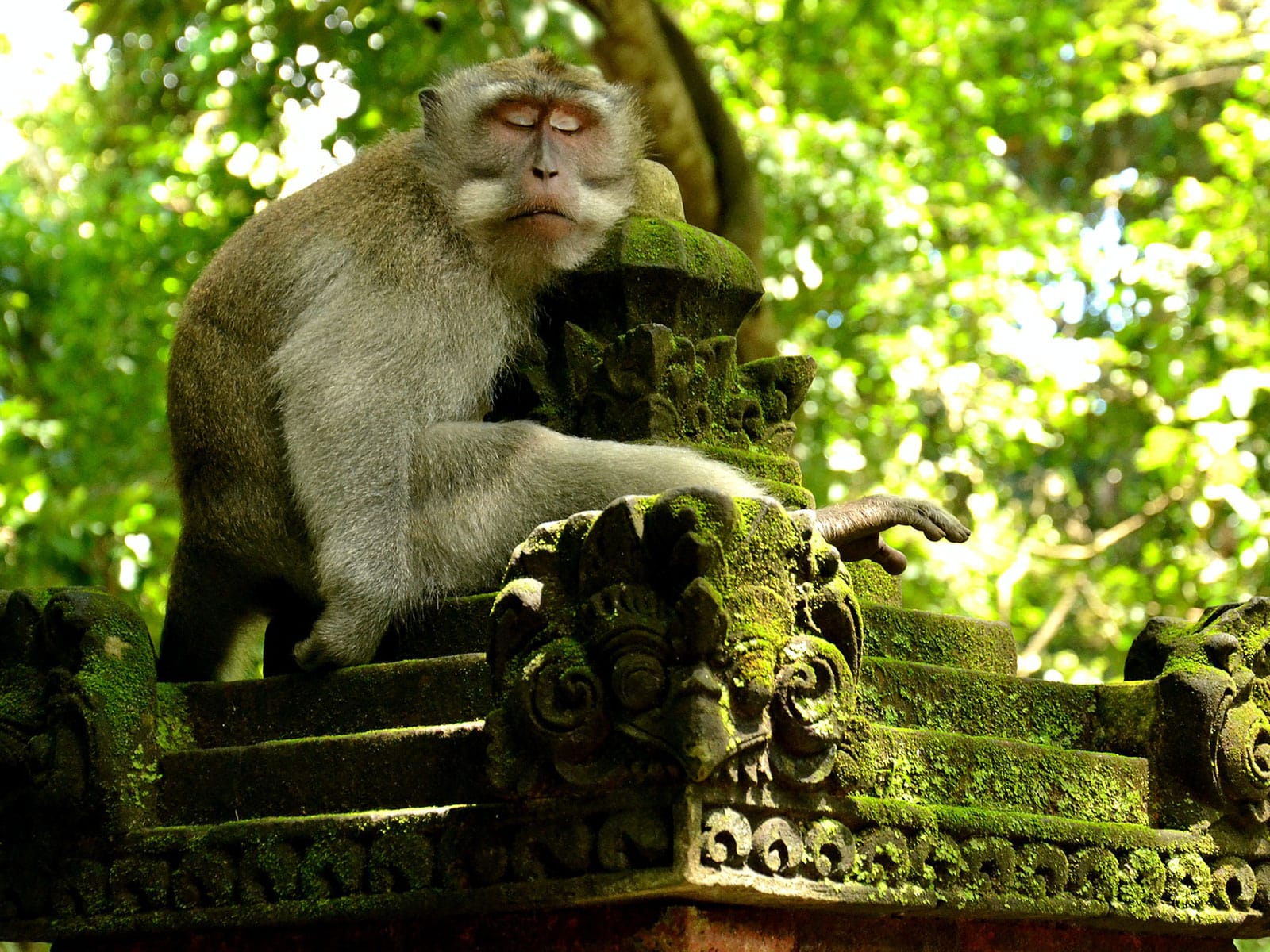 rondreis bali ubud hoogtepunt 33