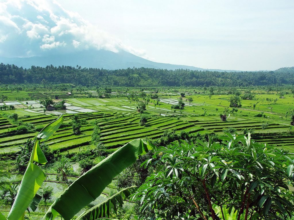 Hoogtepunten | Rama Tours