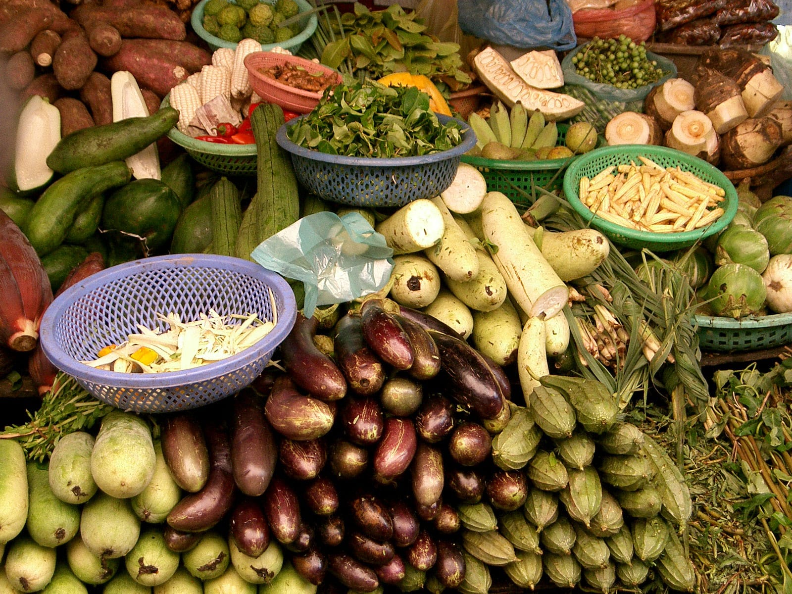 rondreis cambodja phnom penh hoogtepunt 11