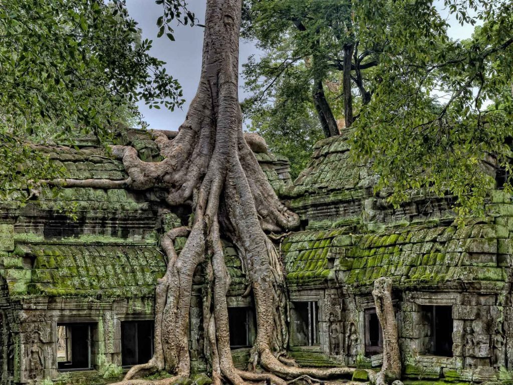 Hoogtepunten | Rama Tours