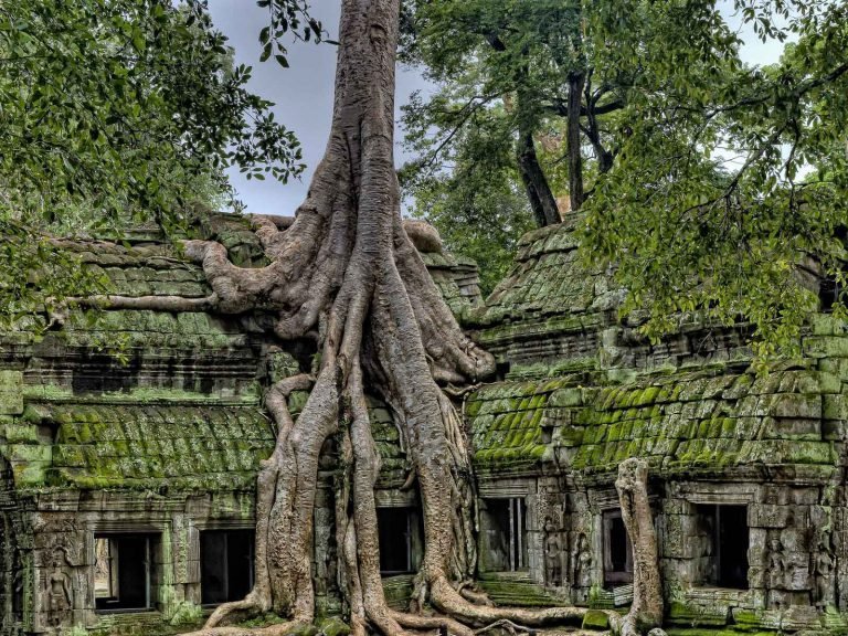 Hoogtepunten | Rama Tours