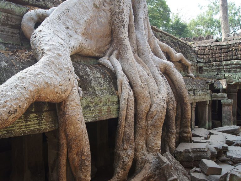 Hoogtepunten | Rama Tours