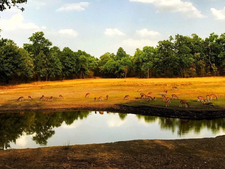 Hoogtepunten | Rama Tours