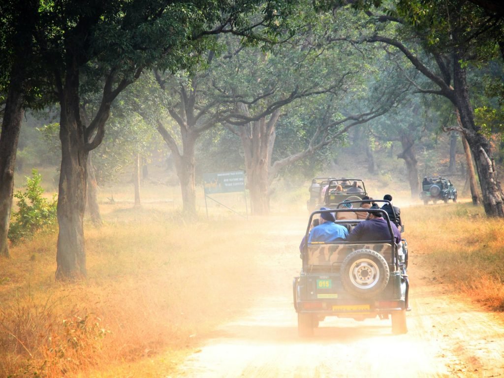 Hoogtepunten | Rama Tours