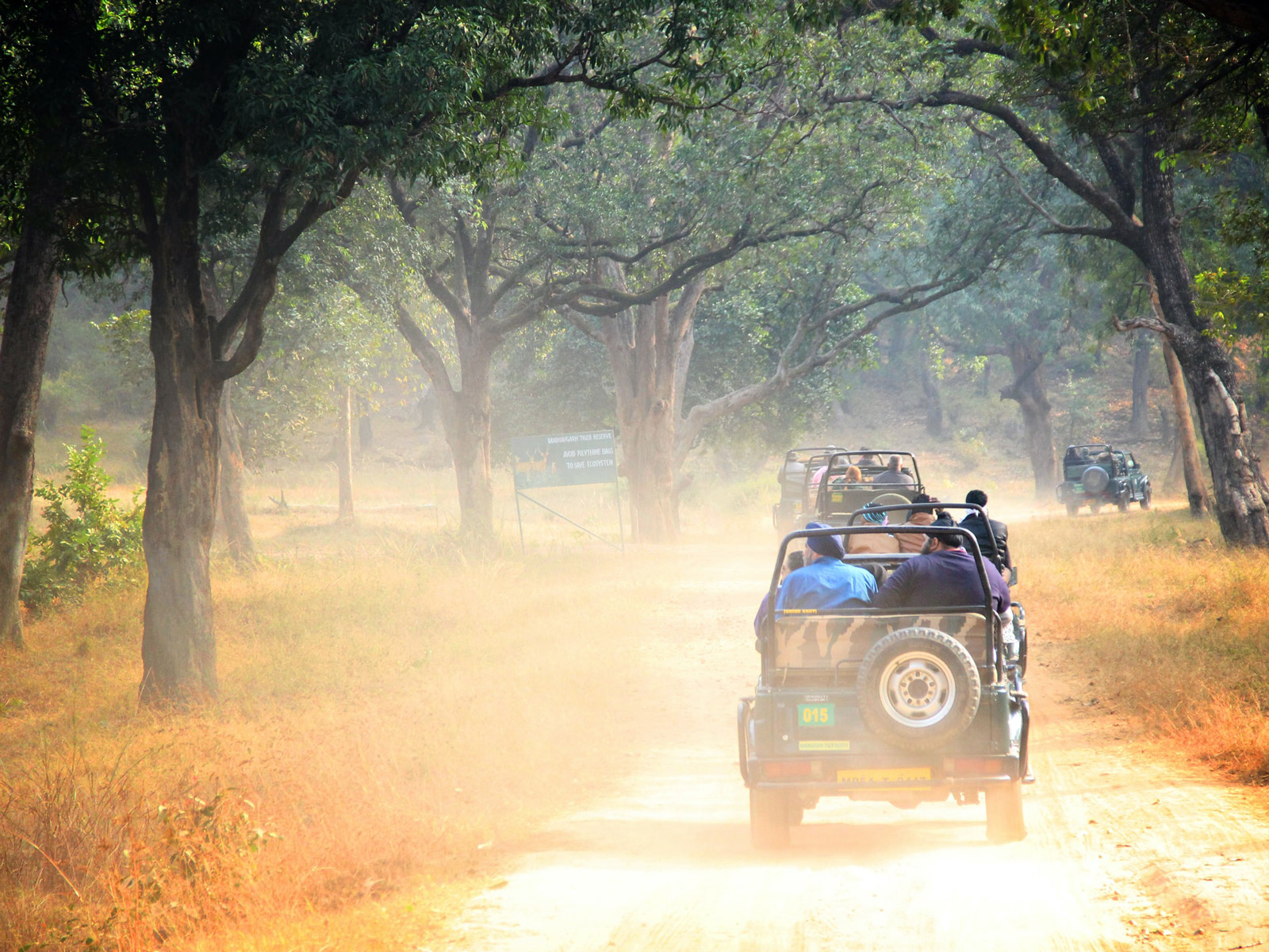 rondreis india bandhavgarh national park hoogtepunt 8