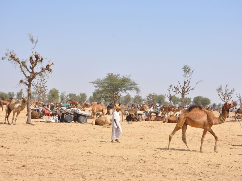 Hoogtepunten | Rama Tours