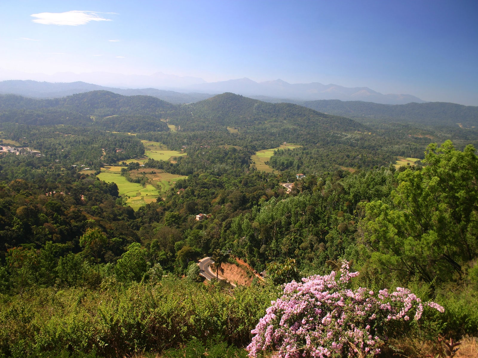 rondreis india madikeri hoogtepunt 11