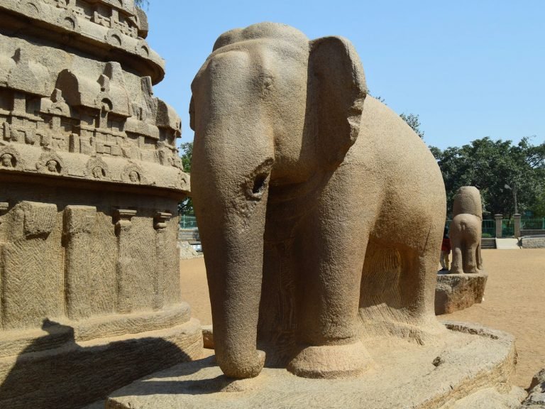 Hoogtepunten | Rama Tours