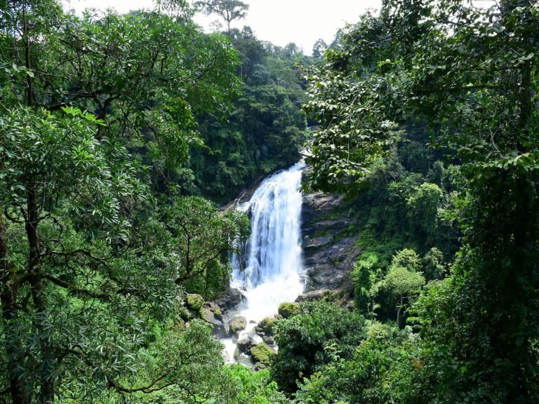 Hoogtepunten | Rama Tours