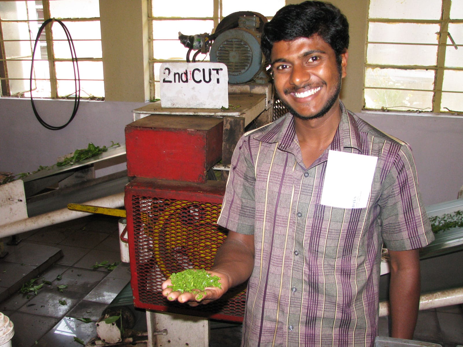 rondreis india munnar hoogtepunt 13