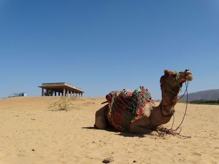 Hoogtepunten | Rama Tours