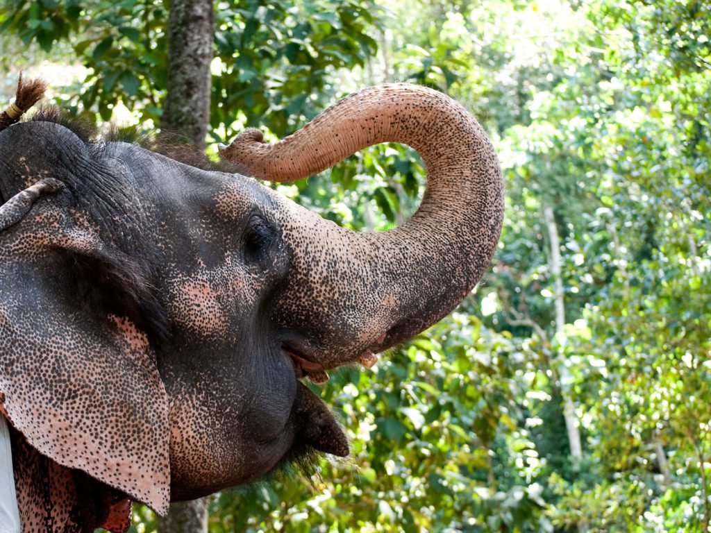 Hoogtepunten | Rama Tours
