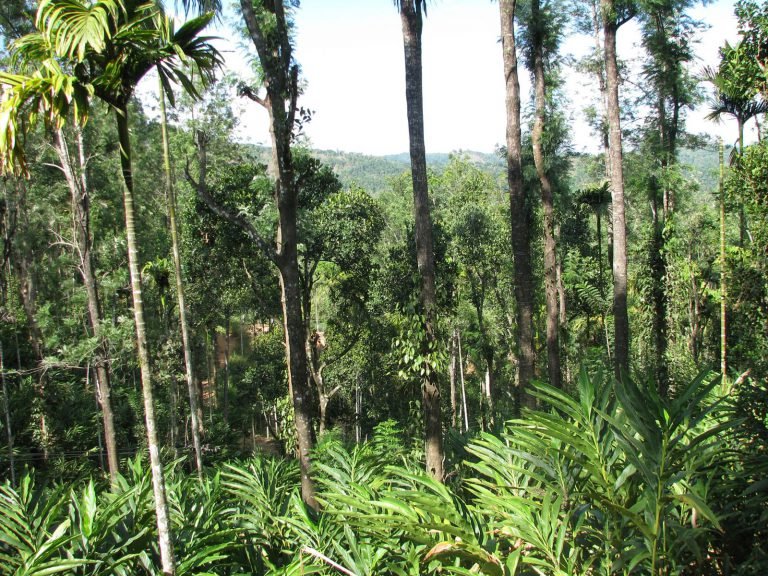 Hoogtepunten | Rama Tours