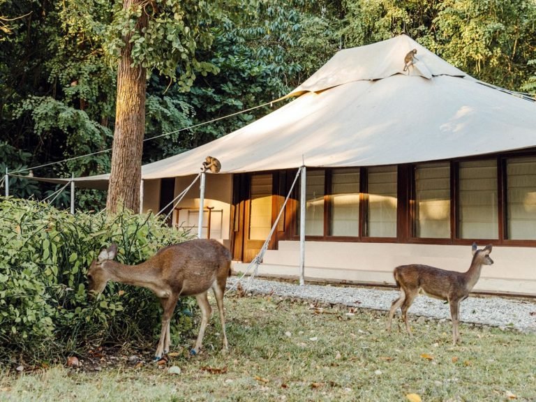 Hotels | Rama Tours