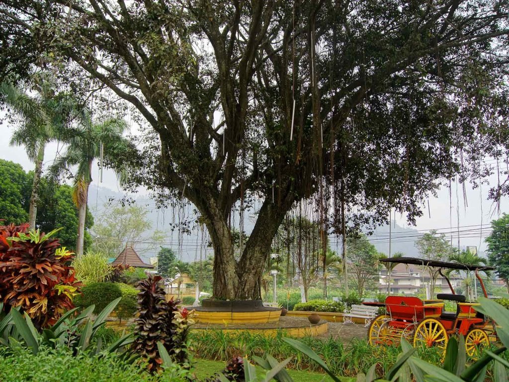 Hotels | Rama Tours